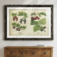 thumbnail image 7 of Kitchen Fruits III-Premium Framed Print - Ready to Hang, 7 of 7