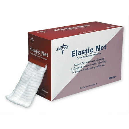 Elastic Nets NONNET11