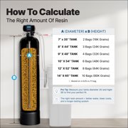 iFilters Water Softener Resin Media Replacement 100% Ion Exchange High Quality Cation - 0.25 CuFt