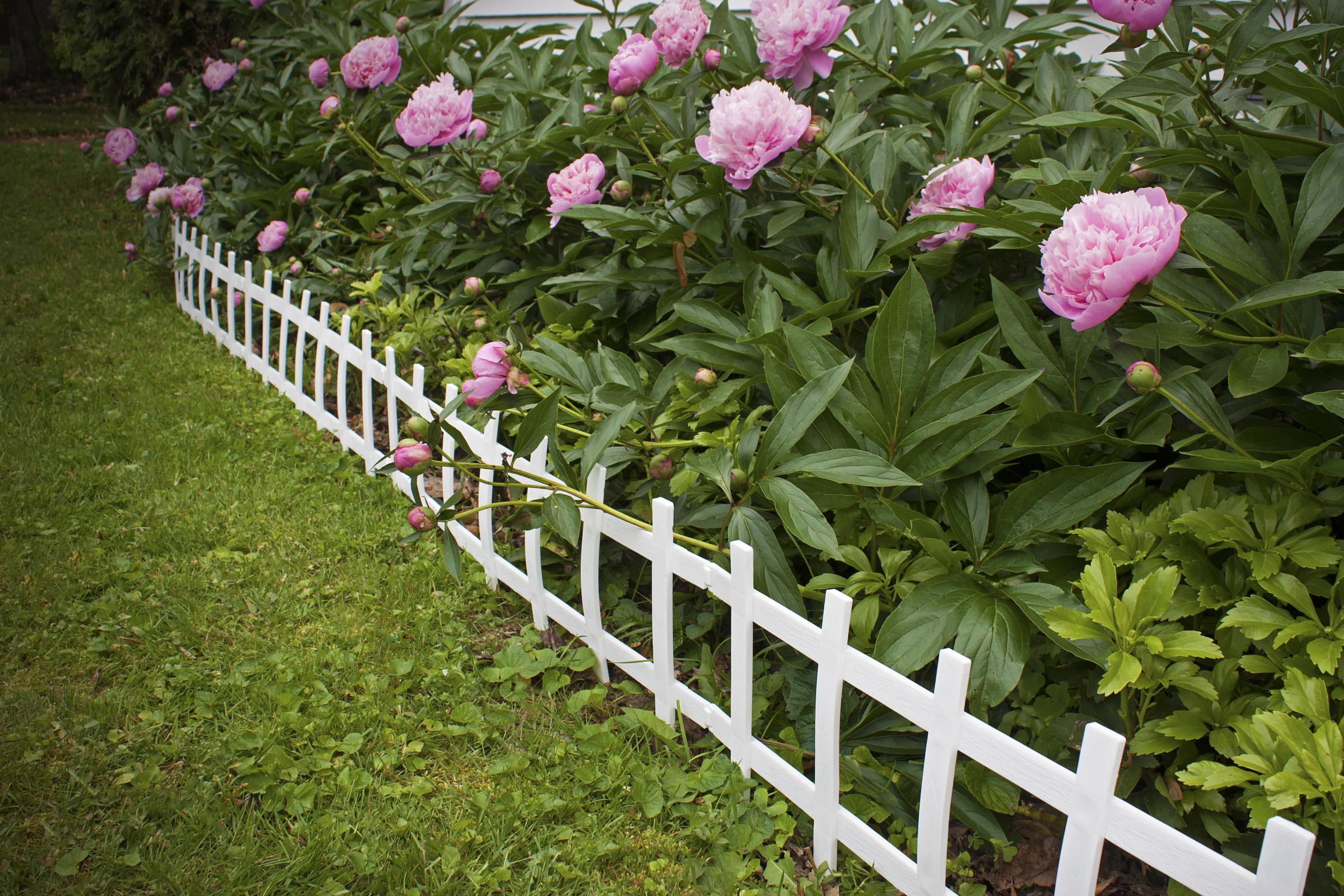 Emsco Group 2120HD 50' Cape Cod Style Decorative Fencing, White