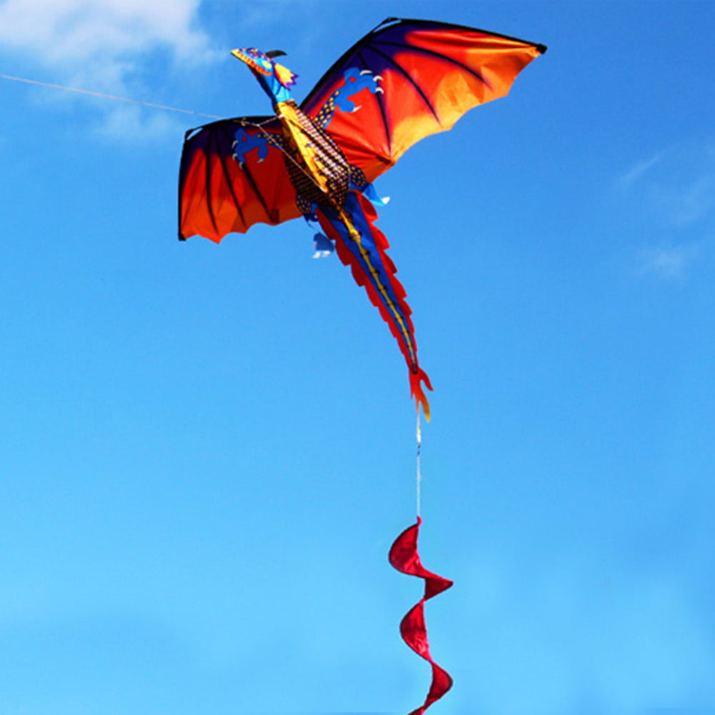FOReverweihuajz Cerf-Volant coloré 3D Dragon Volant avec Queue de 100 m pour Enfants
