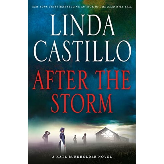 Pre-Owned After the Storm (Hardcover) 1250061563 9781250061560