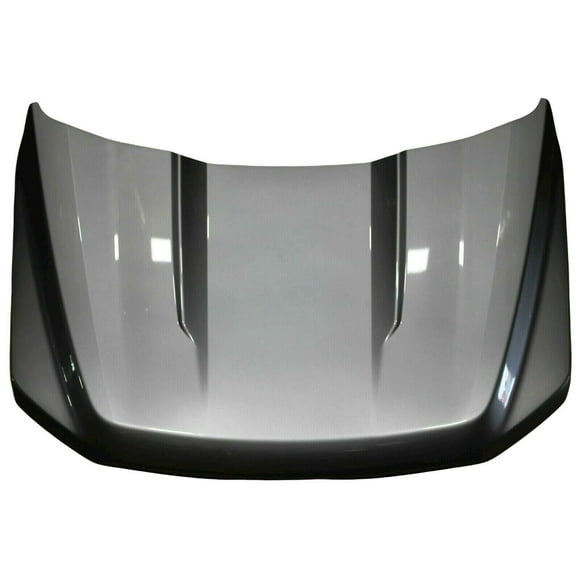 HOOD ALUMINUM COMPATIBLE WITH FORD PICKUP F150 POLICE RESPONDER 2022 PARTSLINK NUMBER FO1230341