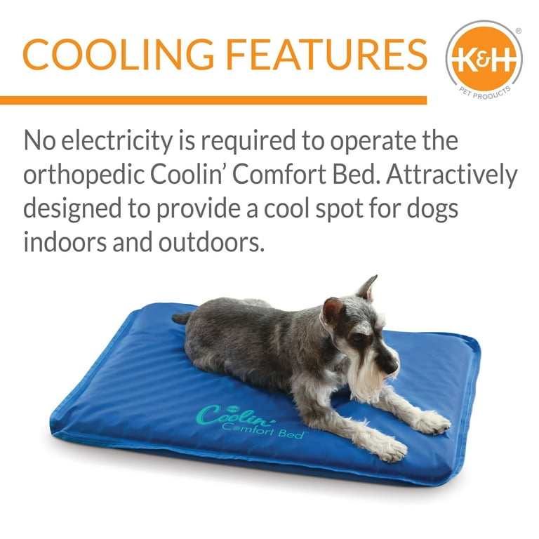 K H Pet Products Coolin Comfort Bed Blue Medium 22 X 32 Inches