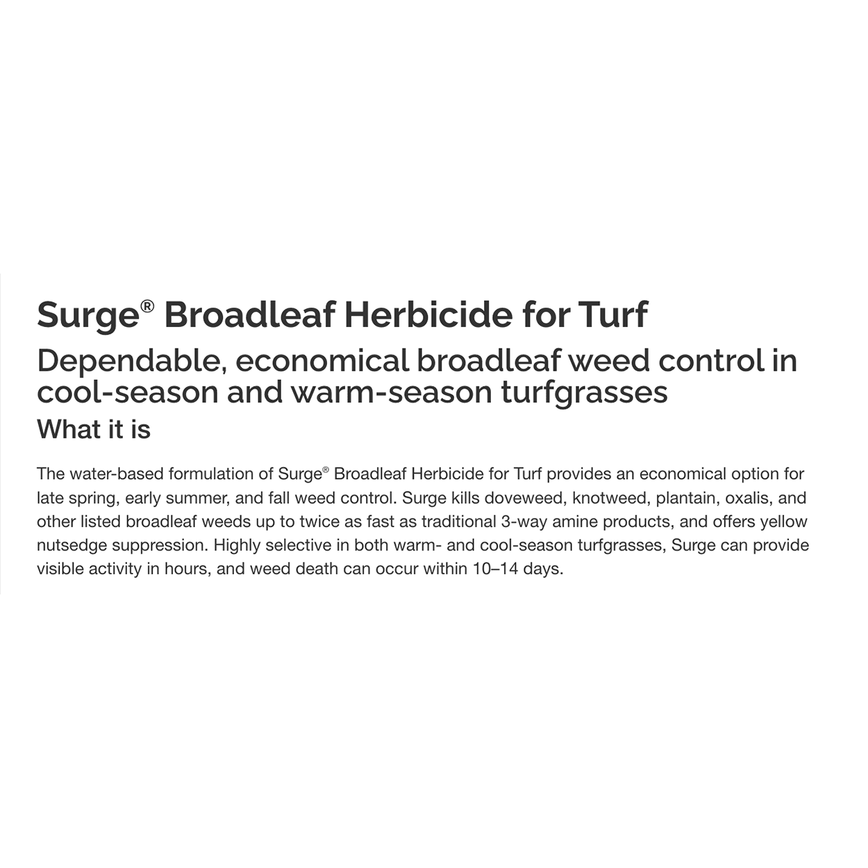 Surge Broadleaf Herbicide for Turf - Excellent in Warm or Cool Season Grasses - 128 fl oz by PBI Gordon