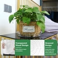 thumbnail image 5 of 20 Pack 6 Inch Plant Saucers Clear Plastic Plant Saucer Drip Trays Small Plant Plate Dish for Indoor Flower Pots and Planters, Bulk, 5 of 8