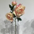 thumbnail image 2 of PEONY FLOWERS BRANCH, 2 of 3