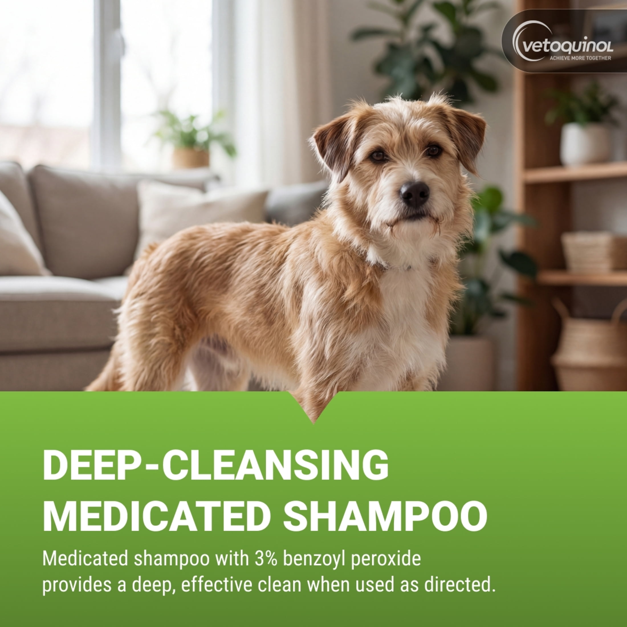 Vet Solutions BPO3 Shampoo with 3% Benzoyl Peroxide for Dogs and Cats - 16 fl oz