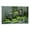 Frame-style, variant on Radioactive Cats by Sandy Skoglund Painting Art Poster Posters Wall Art Painting Canvas Gift Living Room Prints Bedroom Decor Poster Artworks 12x18inch(30x45cm)