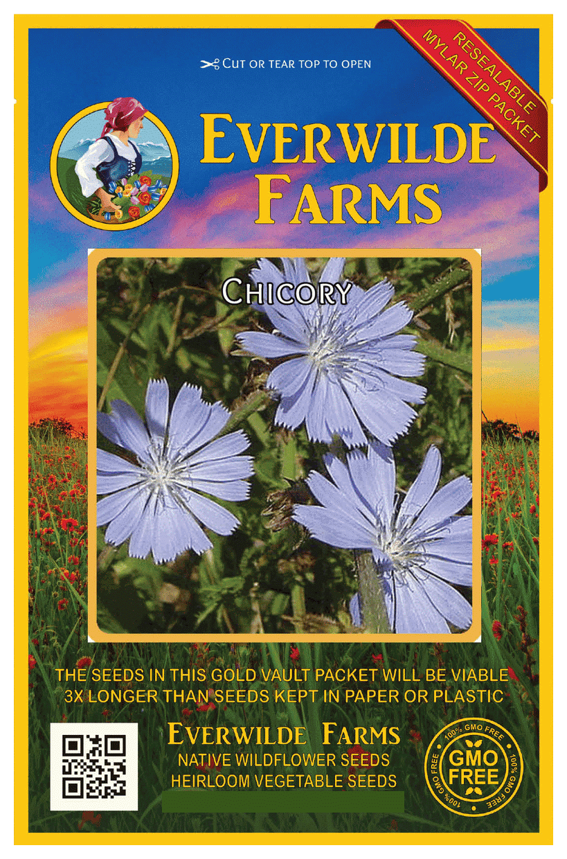 1/4 Lb Chicory Wildflower Seeds Everwilde Farms Mylar Seed Packet