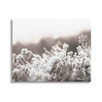 Stupell Industries Dainty Winter Blossoms Botanical Blooms Photograph Gallery Wrapped Canvas Print Wall Art, Design by Leah Straatsma
