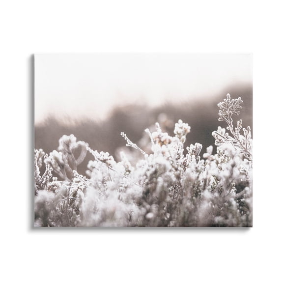 Stupell Industries Dainty Winter Blossoms Botanical Blooms Photograph Gallery Wrapped Canvas Print Wall Art, Design by Leah Straatsma