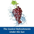thumbnail image 5 of Sunkist Soda Singles-To-Go Zero Sugar Drink Mix Grapes (6 Boxes,36 Sticks Total) Caffeine Free and Non-Carbonated  Makes 36 Glass Flavored Water Beverages, 5 of 5