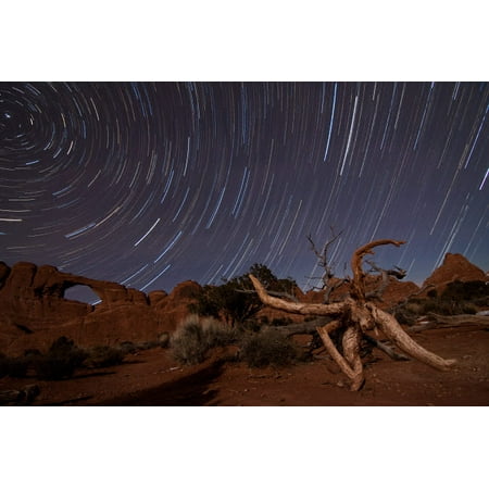 Star trails over Skyline Arch at Arches National Park Utah Poster Print by Dan BarrStocktrek