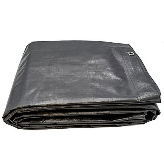 Heavy Duty Silver Tarp 6 OZ., 22'x30'