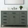 thumbnail image 2 of Design Element Valentino 54" Single Sink Bathroom Vanity in Verdant Green, 2 of 12