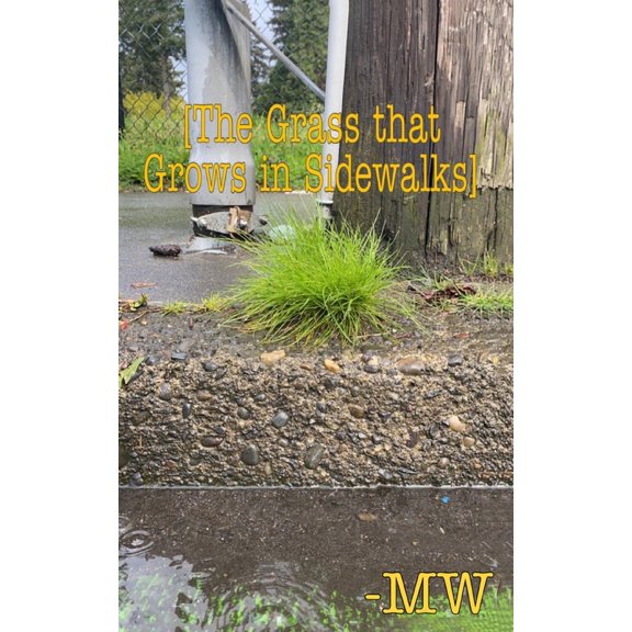 The Grass that Grows in Sidewalks, (Paperback)