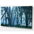 thumbnail image 2 of Dense Rain Forest on Foggy Day - Oversized Landscape Canvas Art, 2 of 3