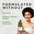 thumbnail image 6 of Avalon Organics Scalp Treatment Tea Tree Conditioner, 32 fl oz, 6 of 8