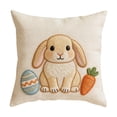 thumbnail image 1 of Easter Pillowcase Set 18 in x 18 in Sofa Cushion Cover with Concealed Zipper and Holiday Rabbit Egg Print, 1 of 6