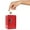 Red, variant on Kid's Coin Bank,SATRINO 7 Inch Kids Piggy Bank Locker Safe with Single Digit Combination Lock and Key,Metal Kids Safe Money Bank,Mini Password Money Bank,Cash Box with Lock,Cash Bank Box(Red)