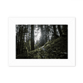 thumbnail image 1 of Dark Green Forestry Science Nature Scenery Photo Mount Frame Picture Art Painting Desktop 5x7 inch, 1 of 3