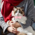 thumbnail image 4 of Mumup 2 Pcs Red Cat Collar for Boy Girl Cats Breakaway Cat Collars with Bell Cute Christmas Kitten Bow Tie Collar Adjustable Small Puppy Safety Collar Solid Color Plaid Pet Collar, 4 of 7