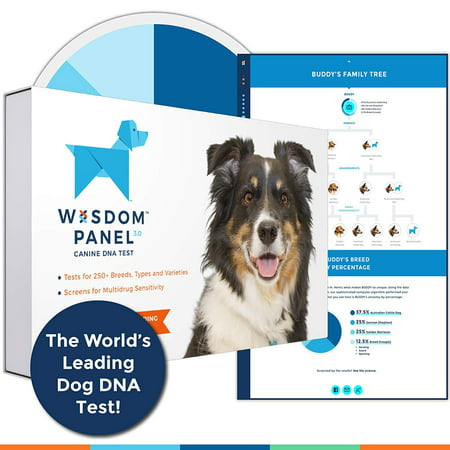Wisdom Panel 3.0 Dog Breed Identification DNA Test (Best Dog Dna Test 2019)