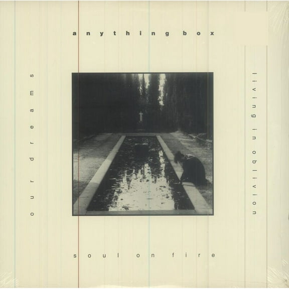 Anything Box - Soul On Fire - 12" Vinyl