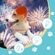 thumbnail image 3 of Orejeras para Perros para Protección Auditiva Orejeras con Cancelación de Ruido para Perros Auriculares con Protección el Ruido para Perros Rosa, 3 of 5
