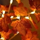 thumbnail image 2 of CM-TOP | Luces de árbol de bonsái, USB/batería interruptor táctil, luces de hadas cálidas, lámpara de árbol para decoración de bodas, Navidad y fiestas (luz cálida), lámpara de árbol otoño | 60 cm, 2 of 3