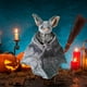thumbnail image 5 of Murciélago de peluche de dibujos animados, lindo murciélago bebé, muñecos de peluche suaves, juguetes de peluche, decoración del hogar, regalo para niños, 5 of 7
