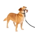 thumbnail image 1 of Collar para perro PetSafe Gentle Leader No-Pull Petite Black, 1 of 6