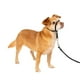 thumbnail image 1 of Collar para perro PetSafe Gentle Leader No-Pull Petite Black, 1 of 6