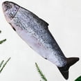 thumbnail image 1 of LOLIPPYY Plush Fish Toy Comfortable and Soft to the Touch Great for Home Fun and 1pc, 1 of 7