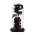 thumbnail image 2 of Gothic Halloween Decor Light Up Halloween Decorations 8 Inch Glass Cloche with Base Halloween Led Lights for Indoor Home Party Table Display, 1 Pack, 2 of 6