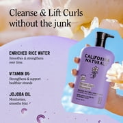 California Naturals Dream Curl Shampoo, 16.5 fl oz