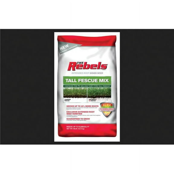 Pennington Seed 5111125 Fescue Tall Blend Pcd - 40 lbs