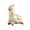 Animal Water Blaster, variant on Alpaca Water Gun, Cute Animal Shaped Squirt Gun, Large Capacity & Easy to Operate, Perfect for Summer Beach, Pool and Outdoor Water Play Activities