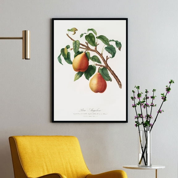 Wild European Pear - Pyrus pyraster - 1817 - 1839 | Giorgio Gallesio | Premium Fine Art Print | 18th Century Italian | Botanical | Plant Art | Nature Art