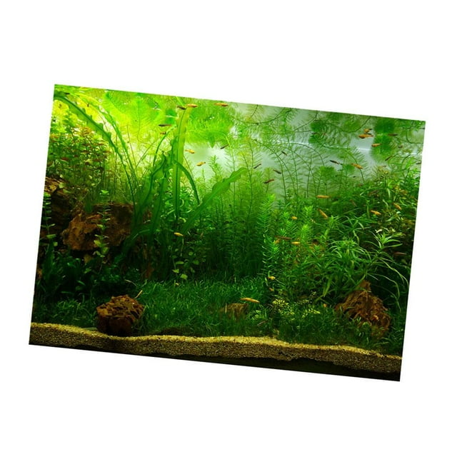 lionlar Aquarium Background Sticker, Decorative Pictures Underwater Backdrop Image Waterweeds XL