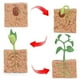 thumbnail image 3 of Plástico Naturaleza las de Plantas Modelo de Crecimiento Biología Cognitiva Juguetes Material Didáctico, 3 of 7
