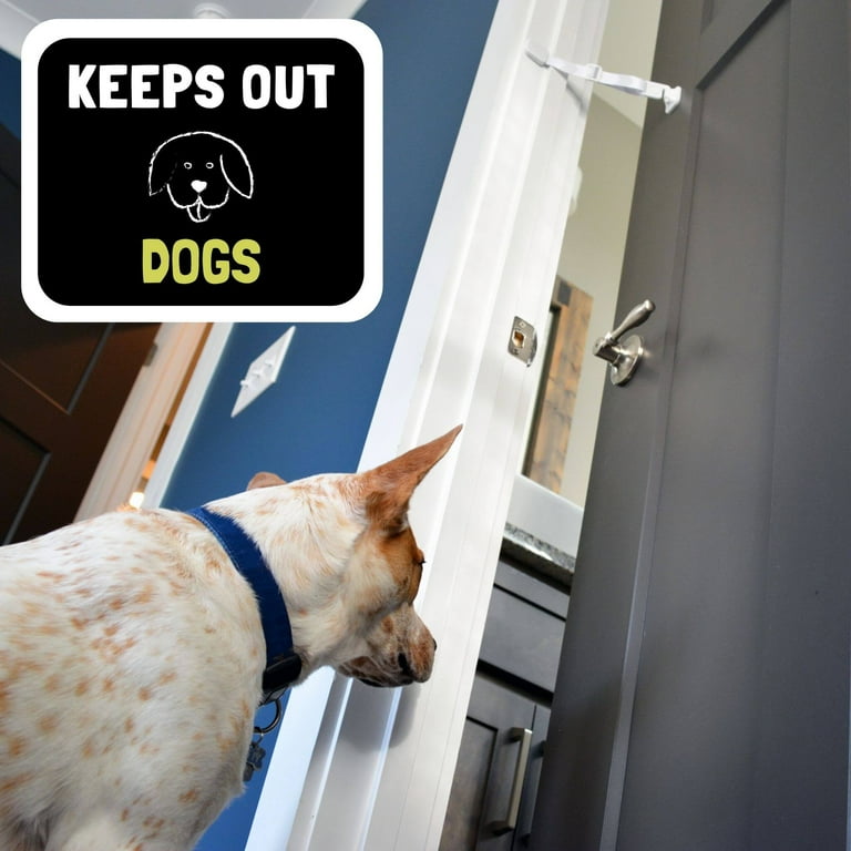 Cat food stand to keep dogs out hot sale