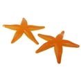 thumbnail image 2 of Decoraciones de Plástico Yotijar 8 Piezas Estrellas modelo de estrella de mar, 2 of 7