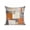 grey, variant on Outdoor Pillows Waterproof, Burnt Orange Grey Bedding Throw Pillows with Insert for Couch Sofa Bed, Modern Abstract Oil Painting 18x18 Inch Pillowcases Decorative Camping Patio Pillow Set of 1