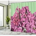 thumbnail image 4 of Ambesonne Lilac Shower Curtain, Macro Pinkish Petals Spring, 69"Wx84"L, Pastel Green Pale Fuchsia, 4 of 4