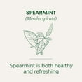 thumbnail image 3 of Traditional Medicinals Spearmint Herbal Tea Bags, Caffeine Free, 16 Count, 3 of 8