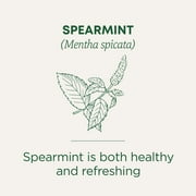 Traditional Medicinals Spearmint Herbal Tea Bags, Caffeine Free, 16 Count