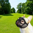 thumbnail image 3 of Bozal para Perros Sunnimix de Malla Transpirable, 3 of 8
