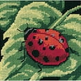 thumbnail image 3 of (2 pack) Dimensions Mini Needlepoint Kit 5"X5"-Ladybug, Ladybug...Stitched In Thread, 3 of 3